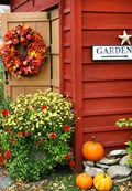 Photograph of a wooden garden shed